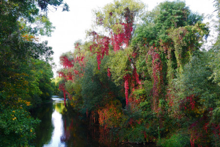 Herbst Impressionen