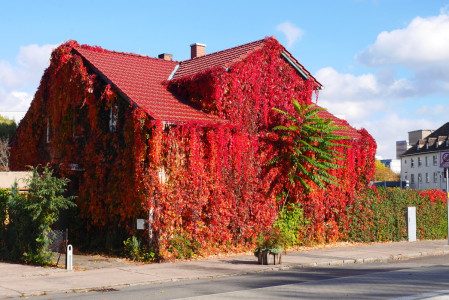 Herbst Impressionen