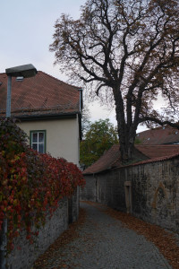 Herbst Impressionen