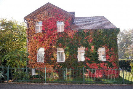 Herbst Impressionen