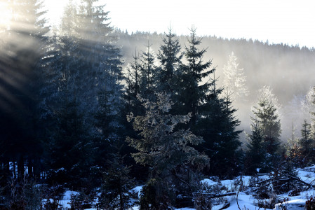 Bilder des Monats Februar 2025