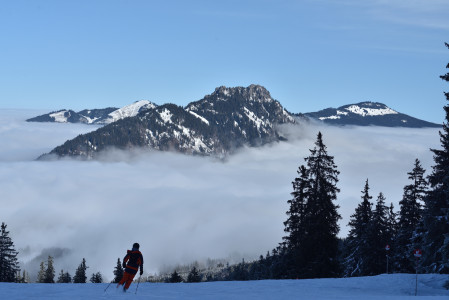 Bilder des Monats Februar 2025
