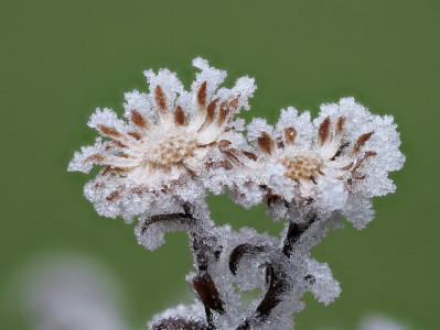 Bilder des Monats Februar 2025