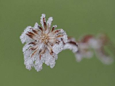 Bilder des Monats Februar 2025