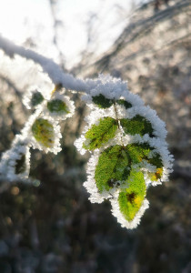 Bilder des Monats Februar 2025