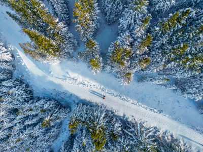 Bilder des Monats Februar 2025